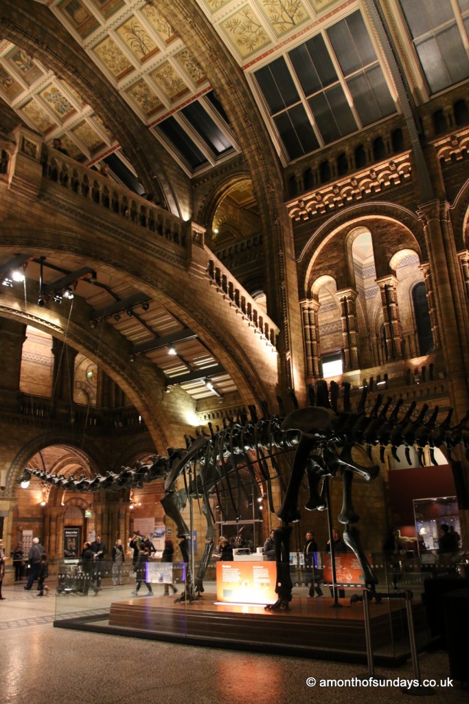 Inside Natural History Museum