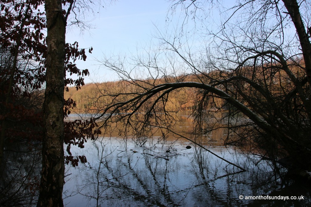 Wintry view over lake